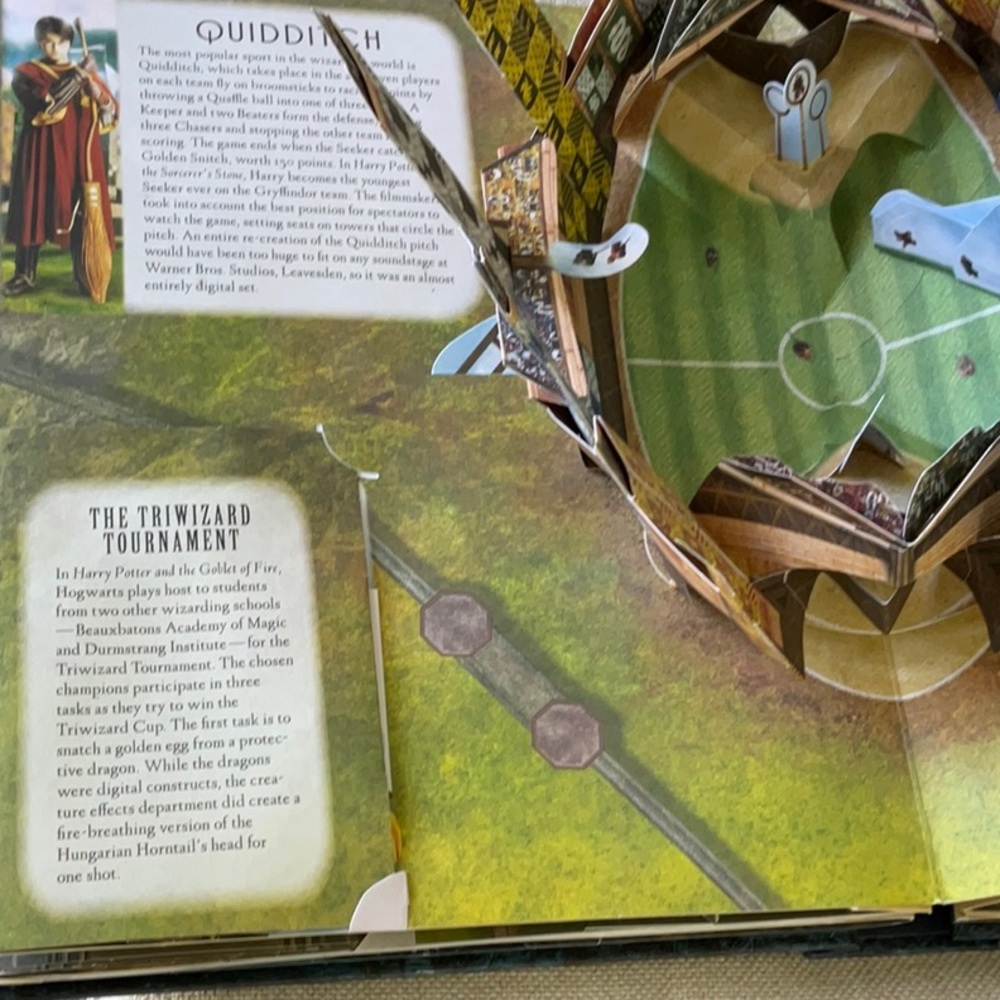 Harry Potter: A Pop-Up Guide to Hogwarts - Picture 5 of 11